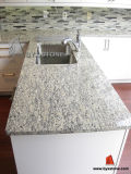 Santa Cecilia Light Granite Bathroom Vanity Top/Kitchen Countertop
