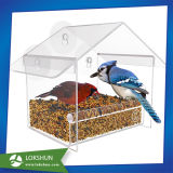 Acrylic House for Small or Large Wild Bird