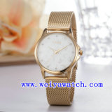 Custom Logo Stainless Steel Watches (WY-027A)