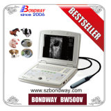 Vet Medical Equipment Portable Veterinary Ultrasound