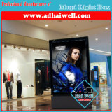 Brand Store Advertising Light Box with Spde Scrolling System