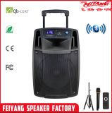 Feiyang/Teimeisheng Wireless/Battery/Loudly Speaker SL10-01
