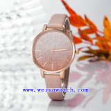 Custom Design Watch Classic Gift Wrist Watches (WY-17025C)
