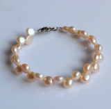 2 Rows Fashion Coin Freshwater Pearl Bracelet (EB1520-1)