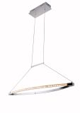 Modern Indoor LED Pendant Lamp Bl-P17145-20CH