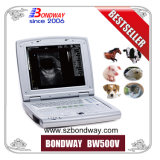 Portable Veterinary Ultrasound Scanner for Equine, Bovine, Swine, Canine, Feline, etc, Rechargeable Battery, Portable Doppler Ultrasound, Aloka Bcf Ultrasound