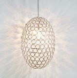Modern Egg Pendant Lamp with Crystal Beads (WHP-997)
