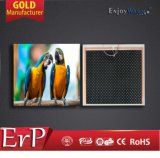 ERP Lot20 Manufacturer TUV GS SAA Ce RoHS IP54 High Quality Pet 360W 600W 720W 960W 1200W Infrared Heating Film