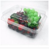 Eco-Friendly Pet Salad Box Disposable Clear Fruit Plastic Container