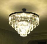 Traditional Customized Crystal Pendant Lamp (WHP-5035Z)