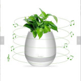Smart Music Flower Pot Bluetooth Intelligent Real Plant Touch Play LED Light Flowerpot