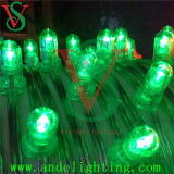 LED Christmas Green Clip Lights/ Decoration String Lights