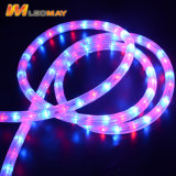 Outdoor Decoration Light Eco-Friendly 2 Wire Vertical LED Rope Light