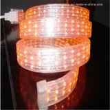 5 Wire Flat Vertical IP65 LED Rope Light CE RoHS