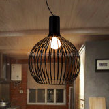 Simple Derative Modern Fixture Pendant Lamp for Home or Hotel