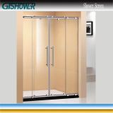 New Design Wet Room Shower Screen (BP0842)