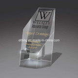 Optic Newport Award (CA-1166)
