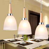 Fashionable Bulb Shaped Glass Pendant Lamp Hanging Light