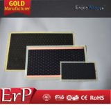 ERP Lot20 GS SAA Ce RoHS IP54 Manufacturer White Pet Bottom Price Far Infrared Film Heating Film