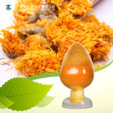 Factory Supply Natural Pigment Cryptoxanthin 5% 75% Zeaxanthin