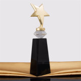 Crystal Customized Engraved Star Trophy Award for Sale
