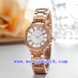 Stainless Steel Watch Customize Ladies Wrist Watches (WY-018B)
