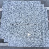 Cheap/Natural Light Grey/Gray Granite G602 for Wall/Floor