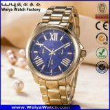 Custom Logo Quartz Watch Fashion Wrist Watches for Men Ladies (WY-17005A)
