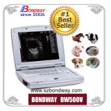 Medical Instrument Digital Laptop Veterinary Ultrasound Scanner, Portable Vet Dignostic Ultrasonic Machine