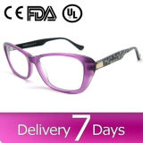 New Model Popular Spectacle Acetate Optical Frame Eyewear