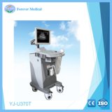 New Vertical Full-Digital Trolley Ultrasound Scanner Yj-U370t