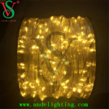 Waterproof Outdoor Christmas Lights/LED Clip String Light for Christmas Decorations