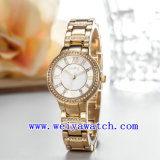 Custom Logo Watch Customize Woman Wrist Watches (WY-018D)