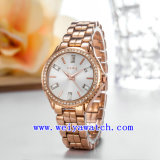 Watch Customizing Woman Wrist Watches (WY-019B)