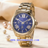 Stainless Steel Watch with Unisex ODM Fashion Wrist Watch (WY-G17005B)