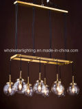 Metal Chandelier with Glass Shade (WHG-651)