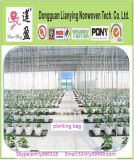 Popular up Mini Greenhouse Tree Planting Bag