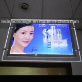 High Quality LED Advertising for Light Box