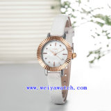 Promotion Watch Customized Woman Watch (WY-030C)