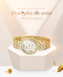 2018 AAA Luxury Belbi Bracelet Wristwatch Brand for Ladies Flower Diamond Stainless Steel Watch Water Resistance