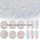 6 PC/Set Nail Art DIY White Holographic Sequins Pigment Colorful Aurora Nail Glitter (EG15)