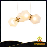 Classical Elegant Decoration Pendant Lamp (GD18165P-L4)