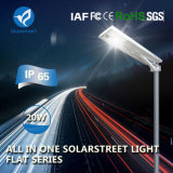 Bluesmart LED Street Lamp 20W Solar Road Light for Africa