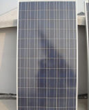 Class a High Quality PV Poly 300W Solar Panel Module