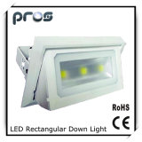 30W Recessed Shopfitter Downlight LED Commercial Lighting
