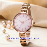 Custom Watches Stainless Steel Watch Ladies Watch (WY-G17001B)