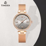 Women Brand Gold Black Bracelet Ladies Fashion Gifts Wrist Watch
