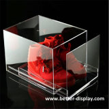 Luxury Clear Acrylic Drop Front Shoe Box G4004