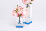 Blue and Clear Acrylic Bloomin Petite Vase.