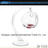 Wholesale Clear Hanging Glass Terrarium Ball